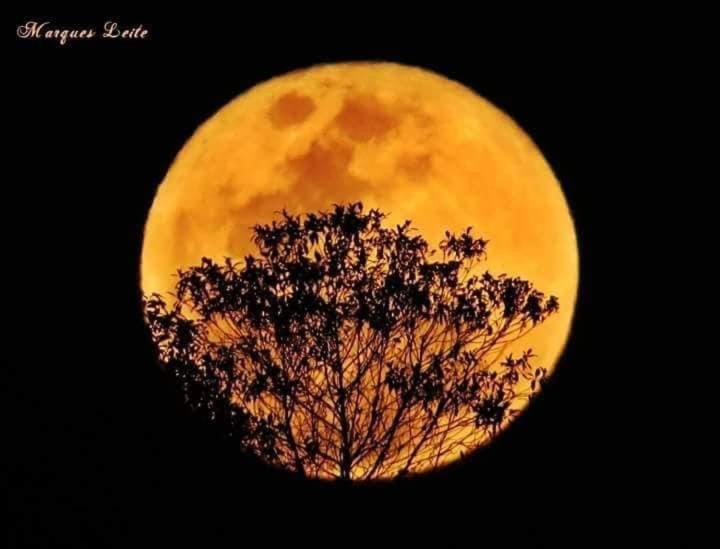Pousada Rosa Mistica São Tomé das Letras Bagian luar foto